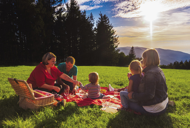 Familie beim Picknick