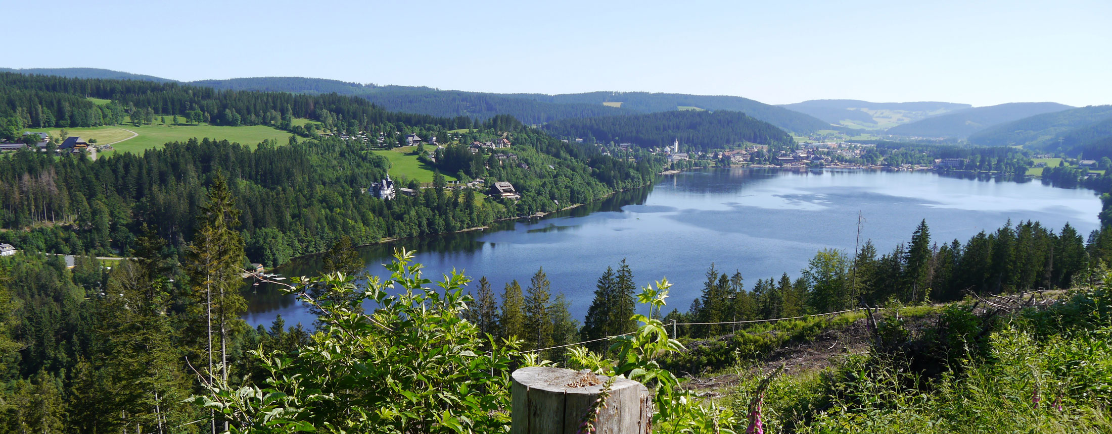 Titisee Panoramablick