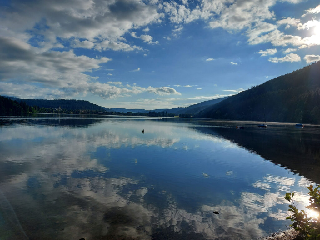 Titisee Panorama am Nachmittag